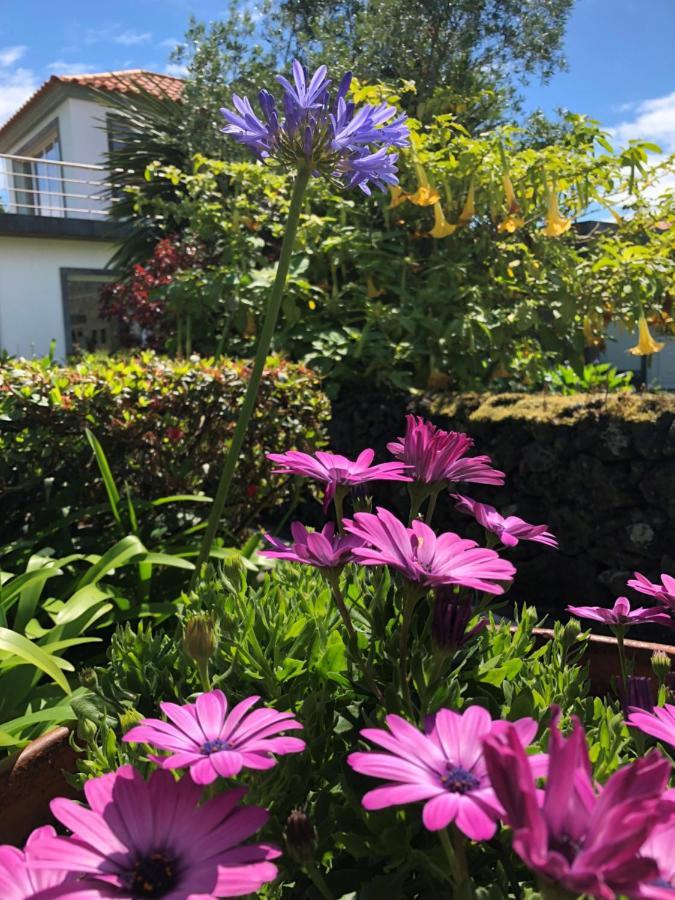 Villa Quinta Da Bela Vista à Ponta Delgada Extérieur photo